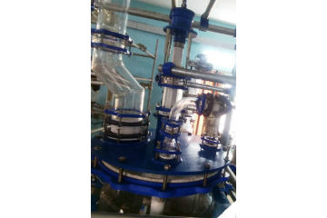 Glass reactor